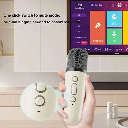 Portable Wireless Speaker with Microphone